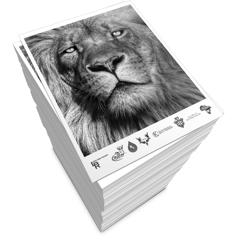 Print Picture Black